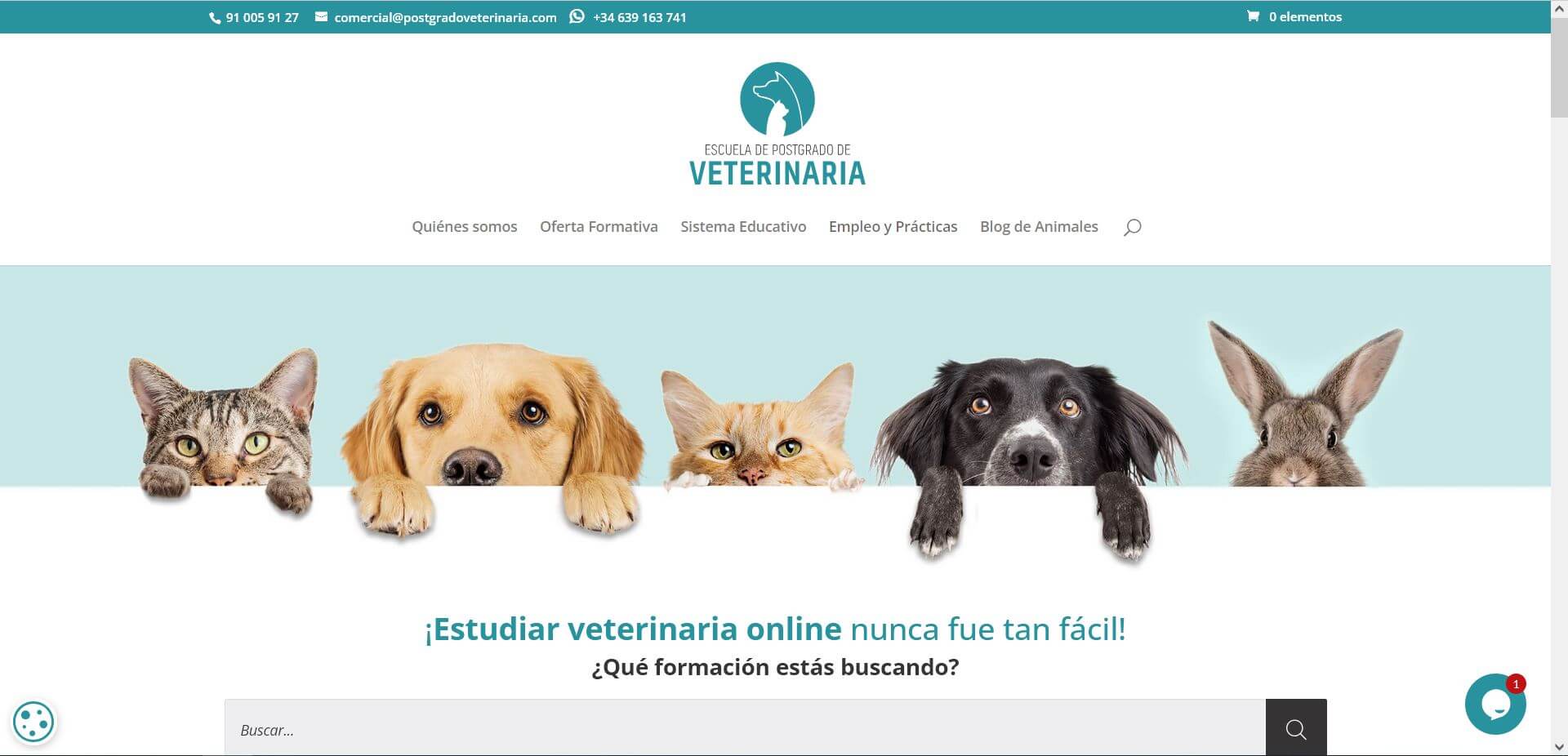 Pendiente de mostrar la Web Auditada