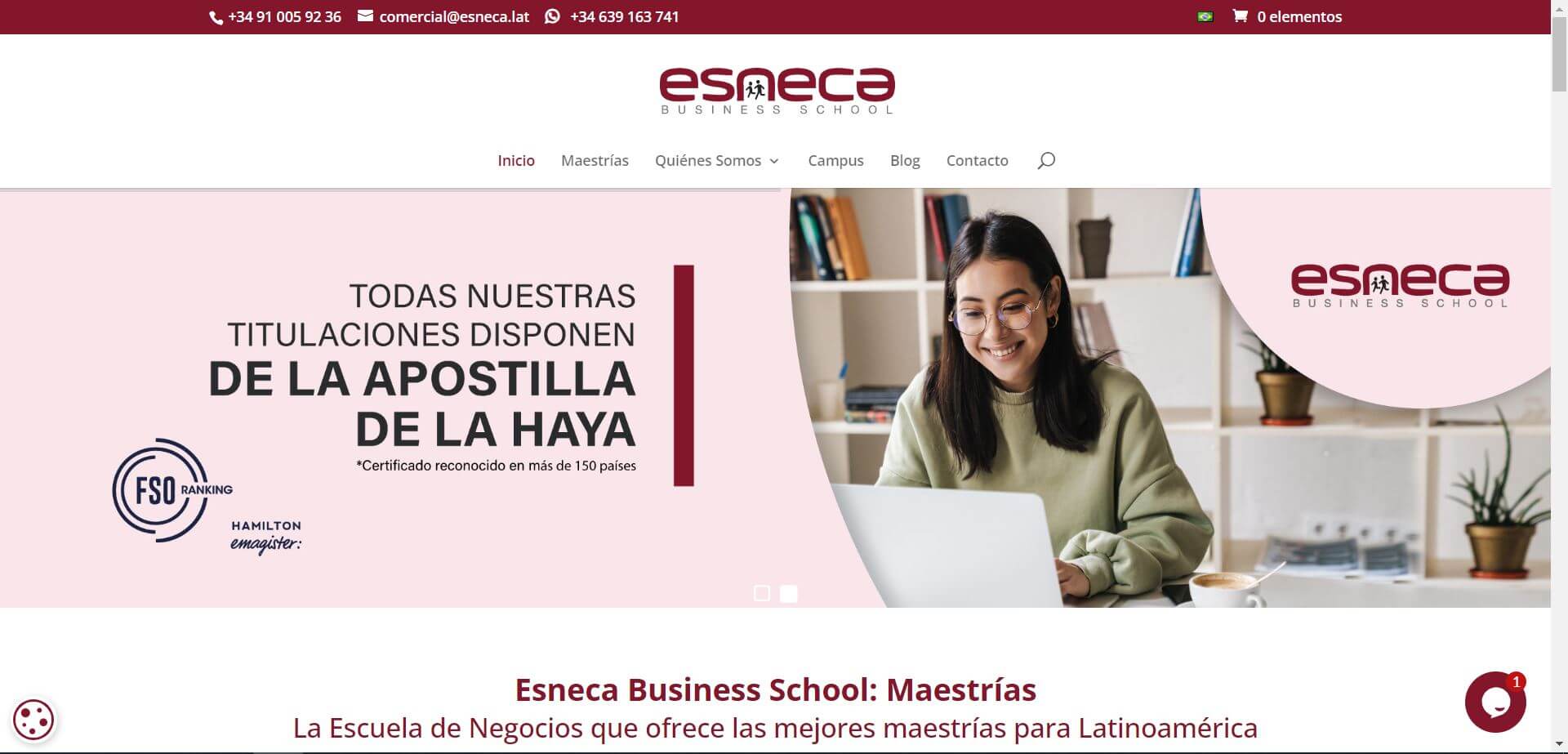 Pendiente de mostrar la Web Auditada