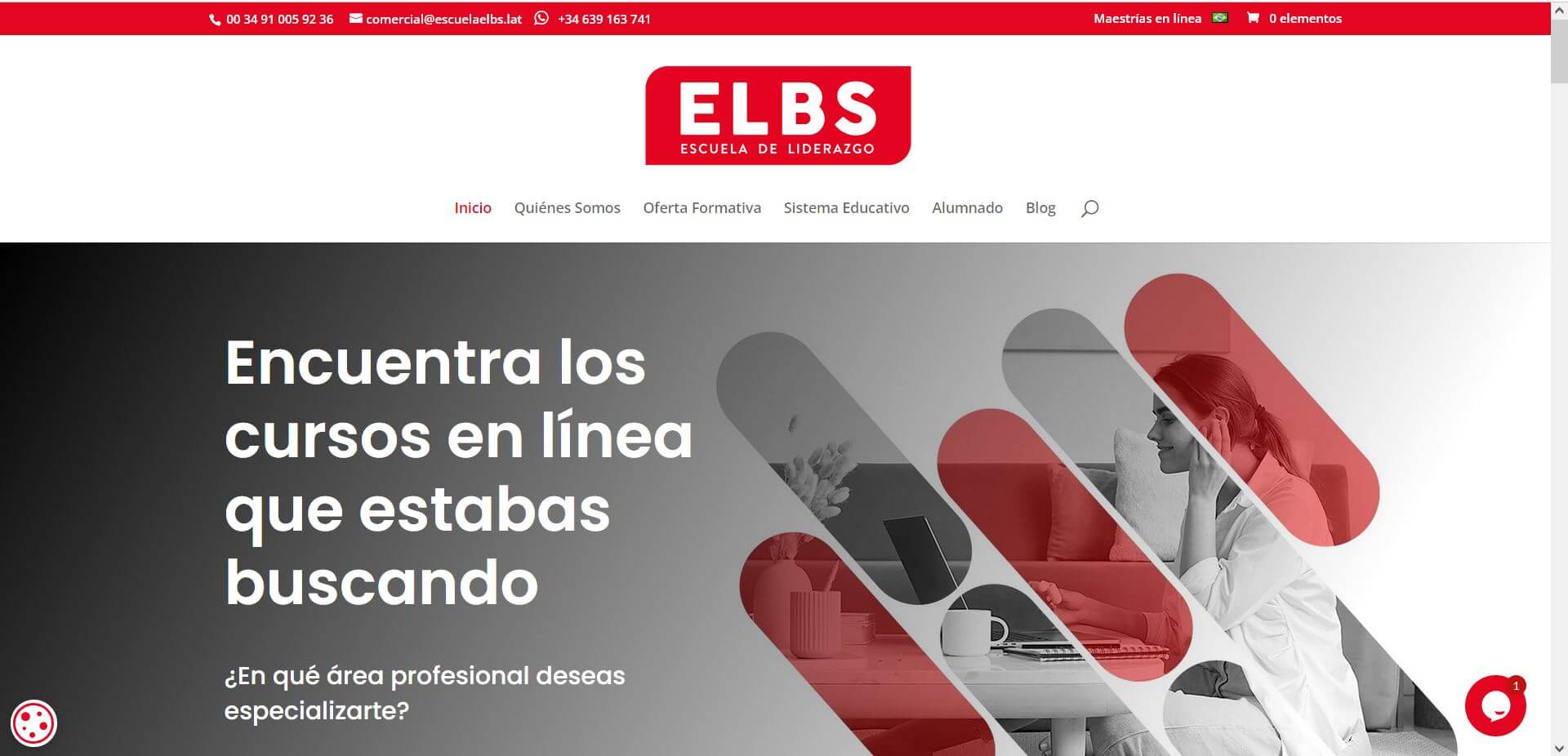 Pendiente de mostrar la Web Auditada