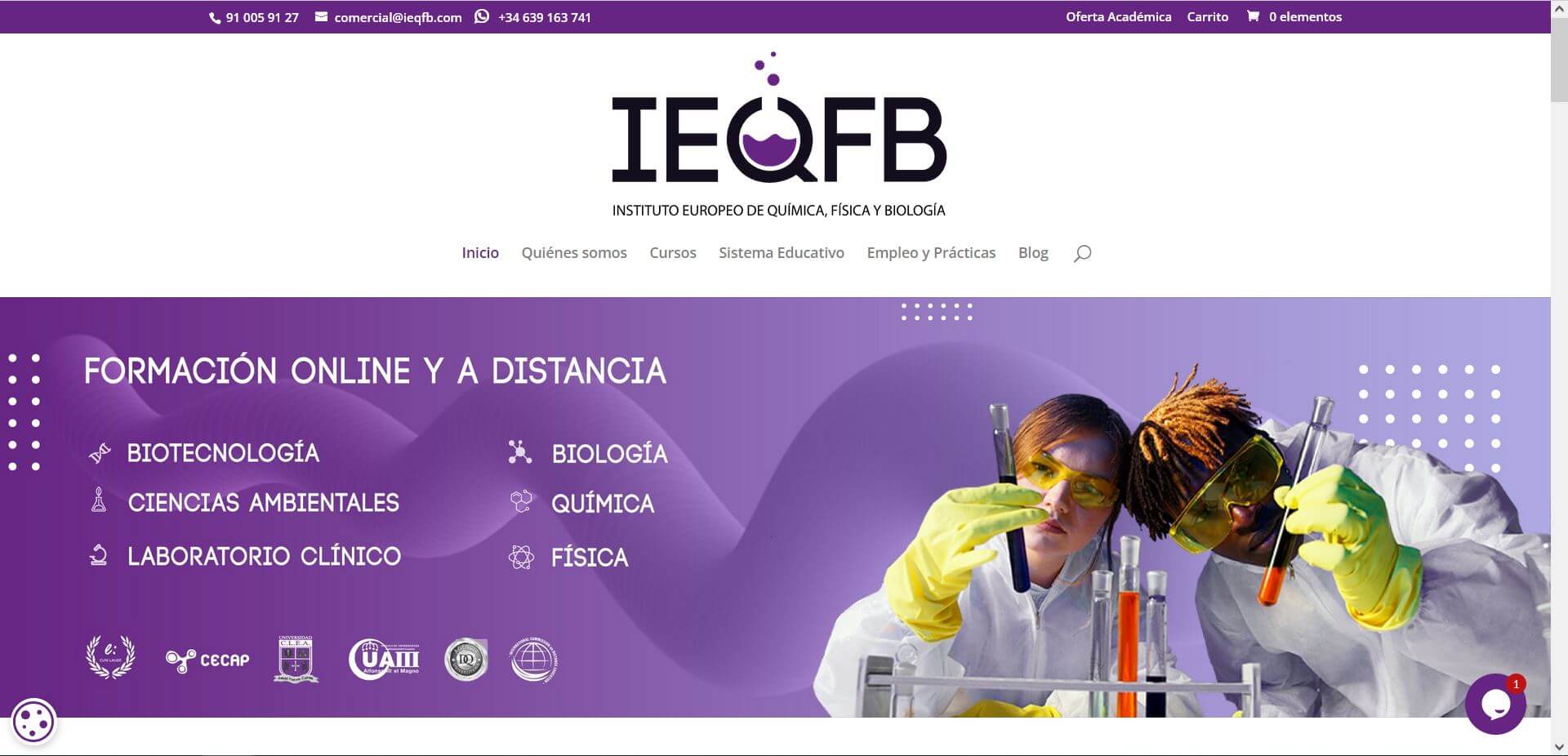 Pendiente de mostrar la Web Auditada