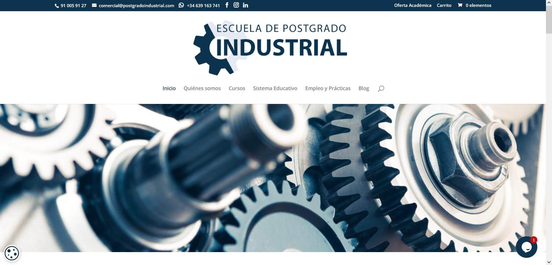 Pendiente de mostrar la Web Auditada