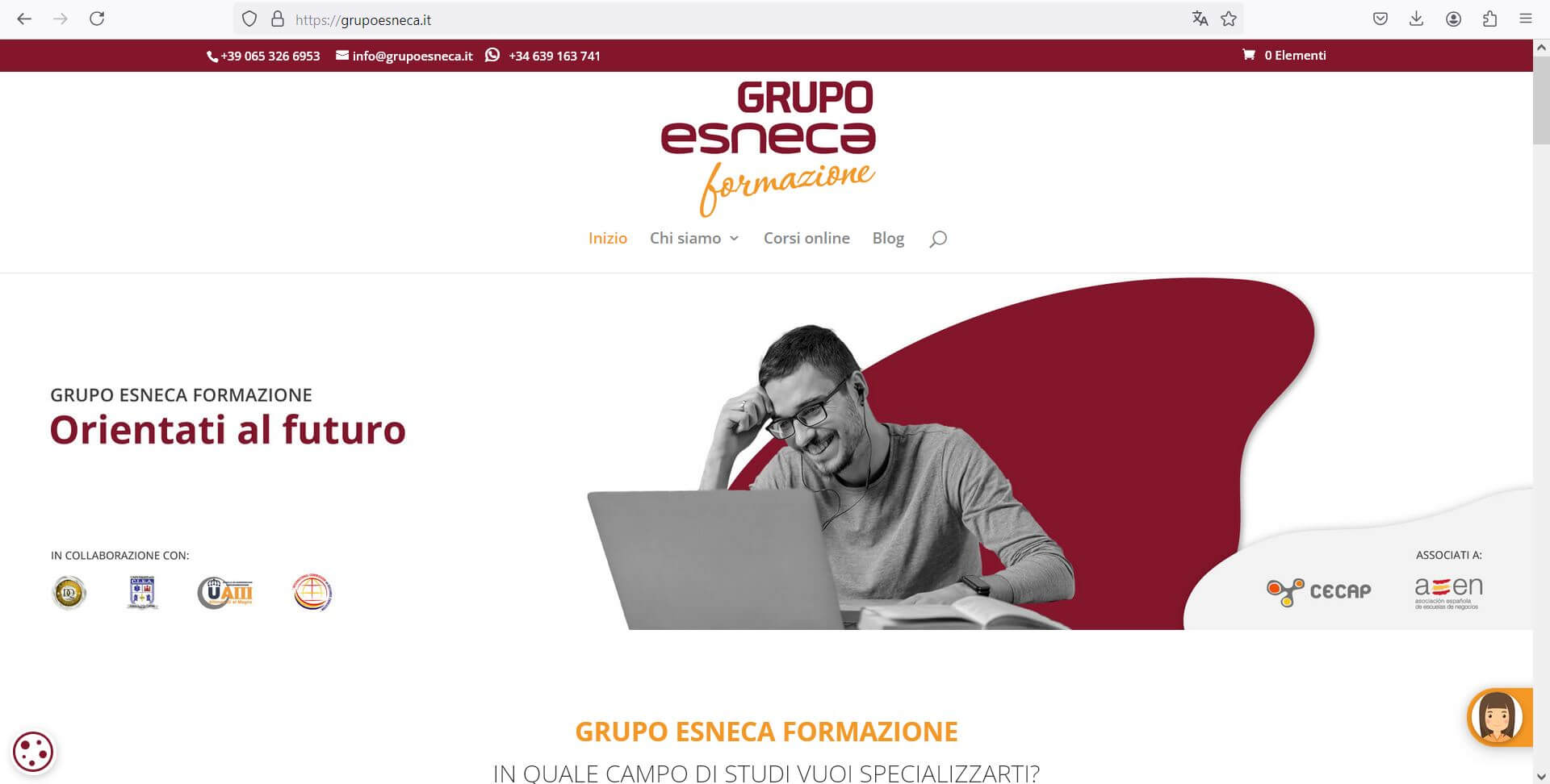 Pendiente de mostrar la Web Auditada