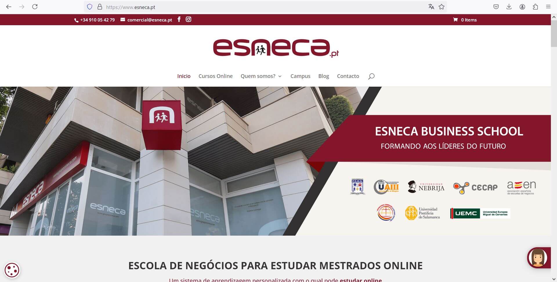 Pendiente de mostrar la Web Auditada