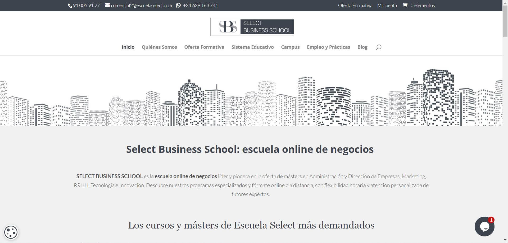 Pendiente de mostrar la Web Auditada