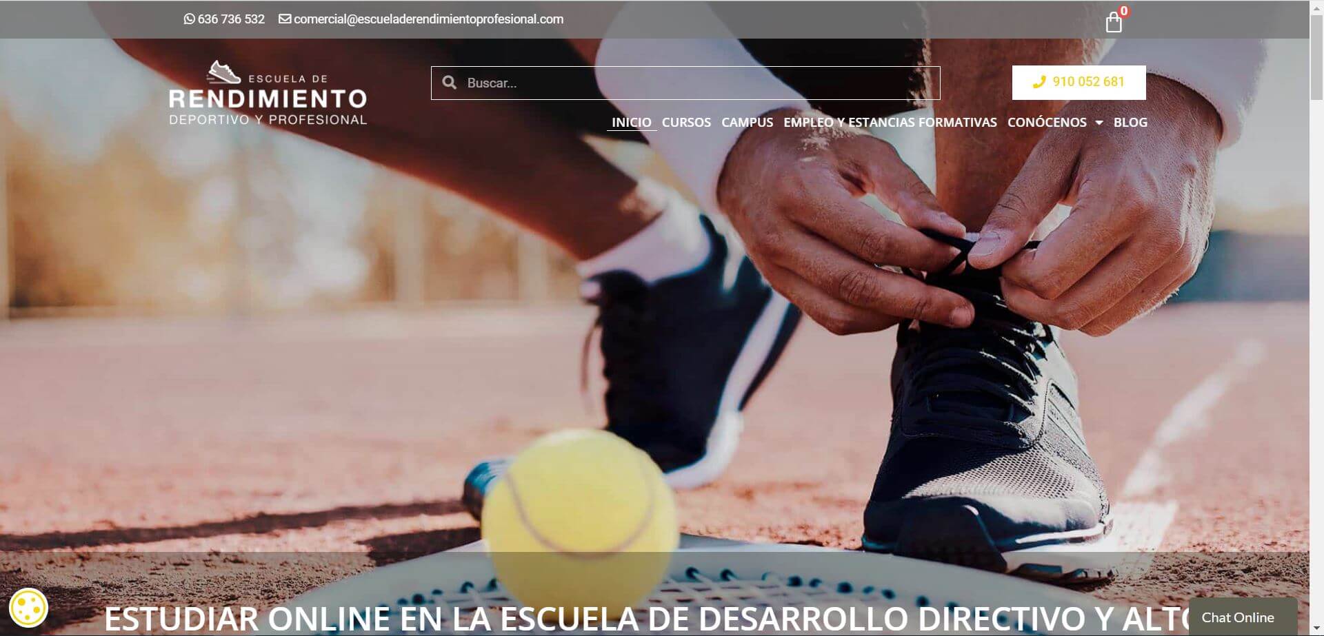 Pendiente de mostrar la Web Auditada