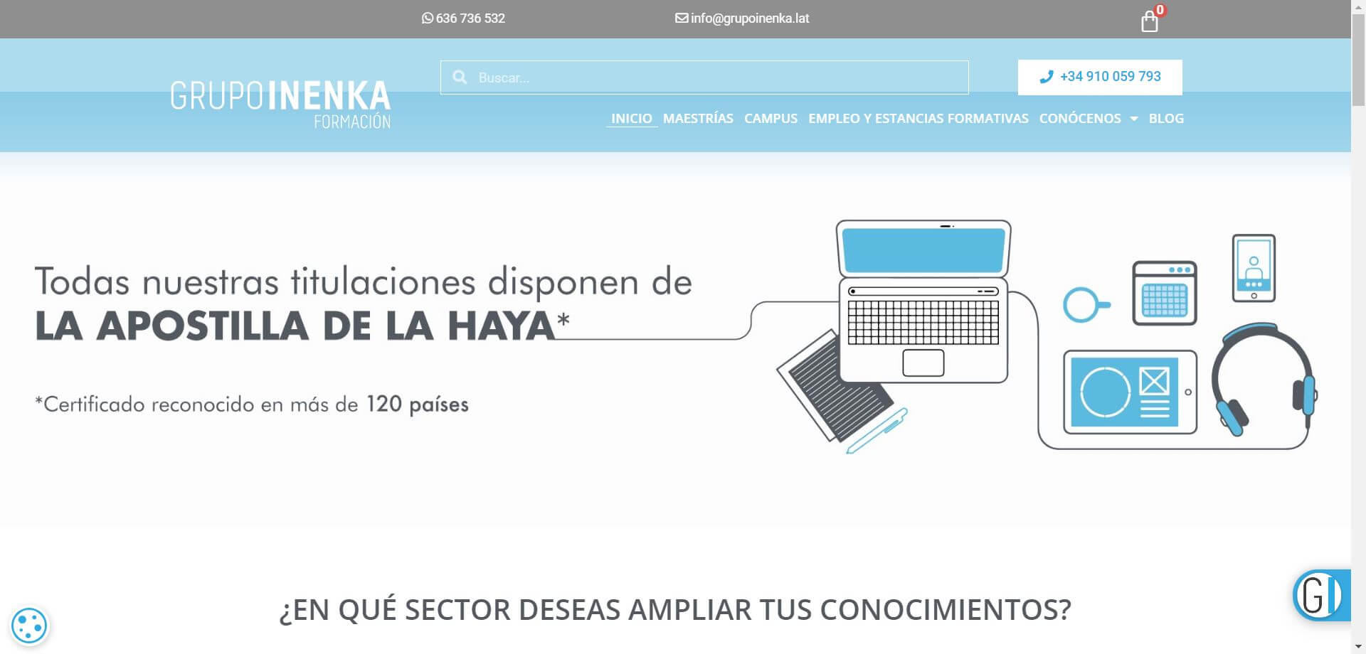 Pendiente de mostrar la Web Auditada