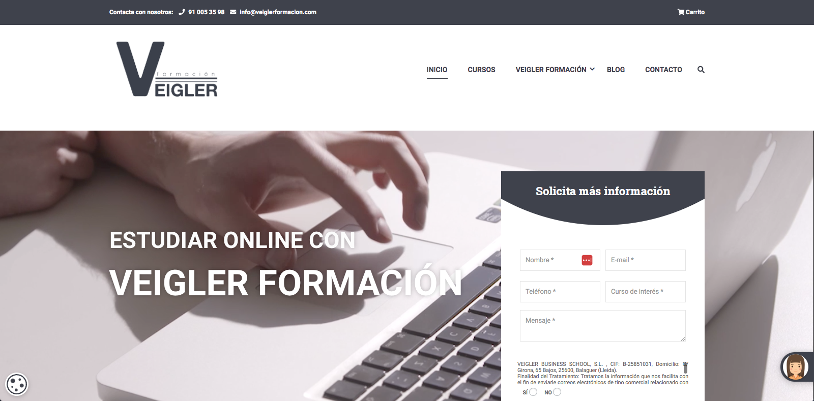 Pendiente de mostrar la Web Auditada