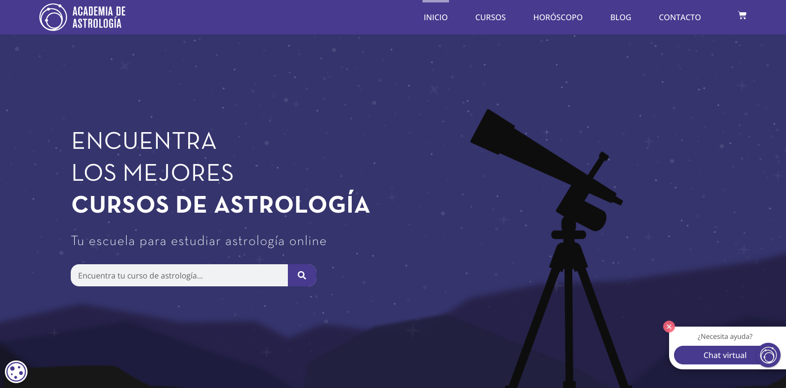 Pendiente de mostrar la Web Auditada