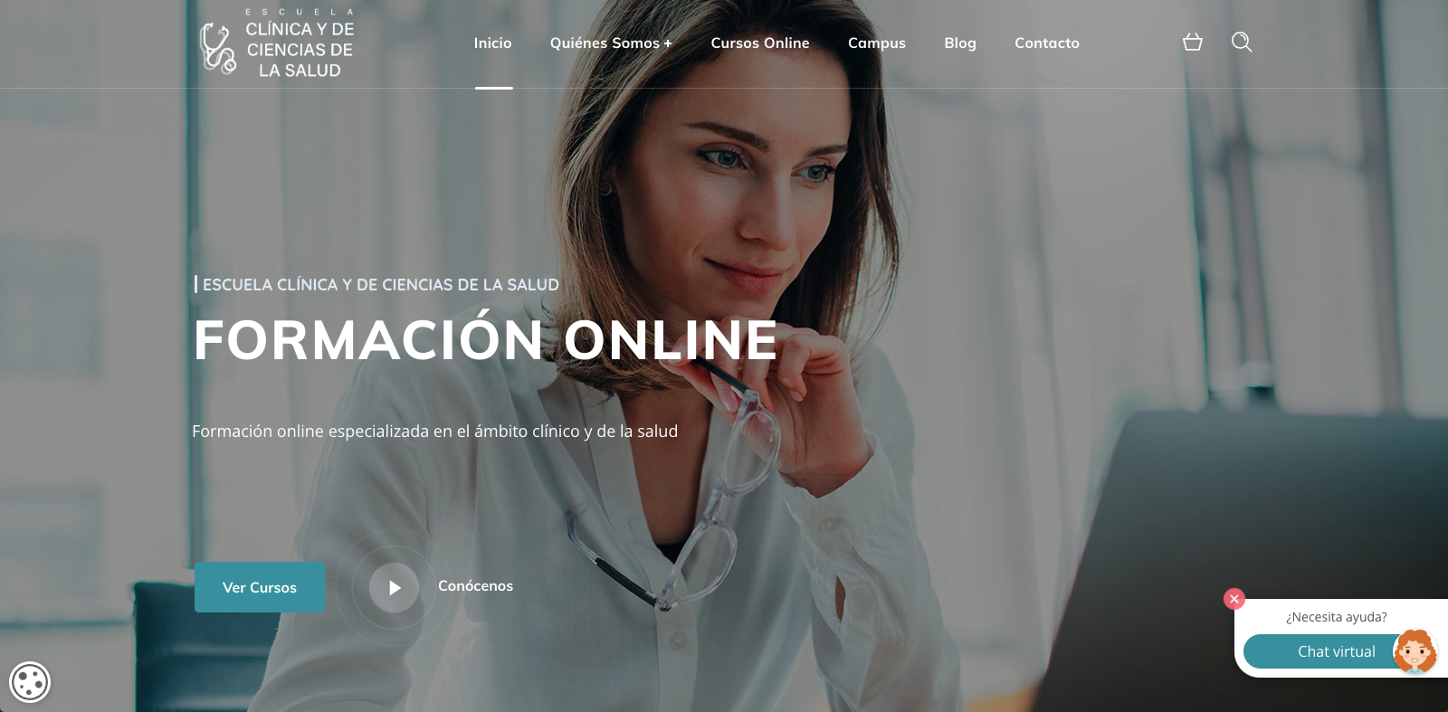 Pendiente de mostrar la Web Auditada