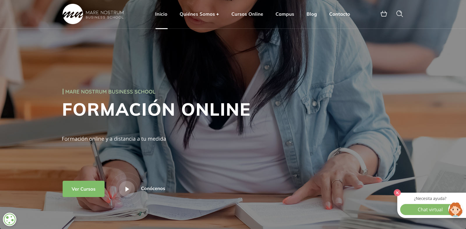 Pendiente de mostrar la Web Auditada