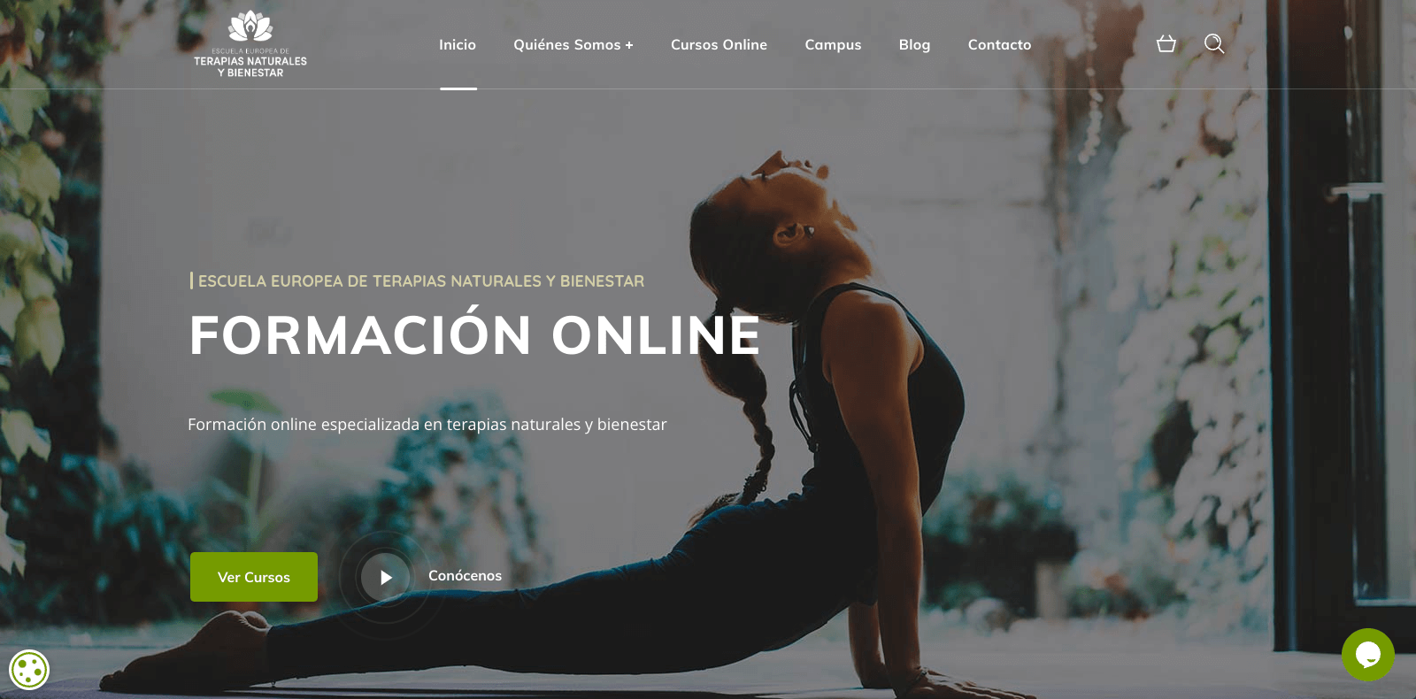 Pendiente de mostrar la Web Auditada