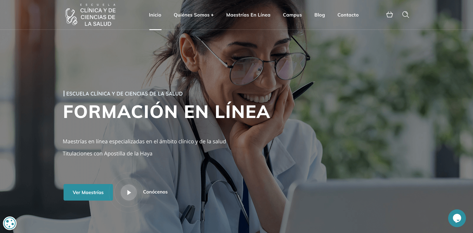 Pendiente de mostrar la Web Auditada