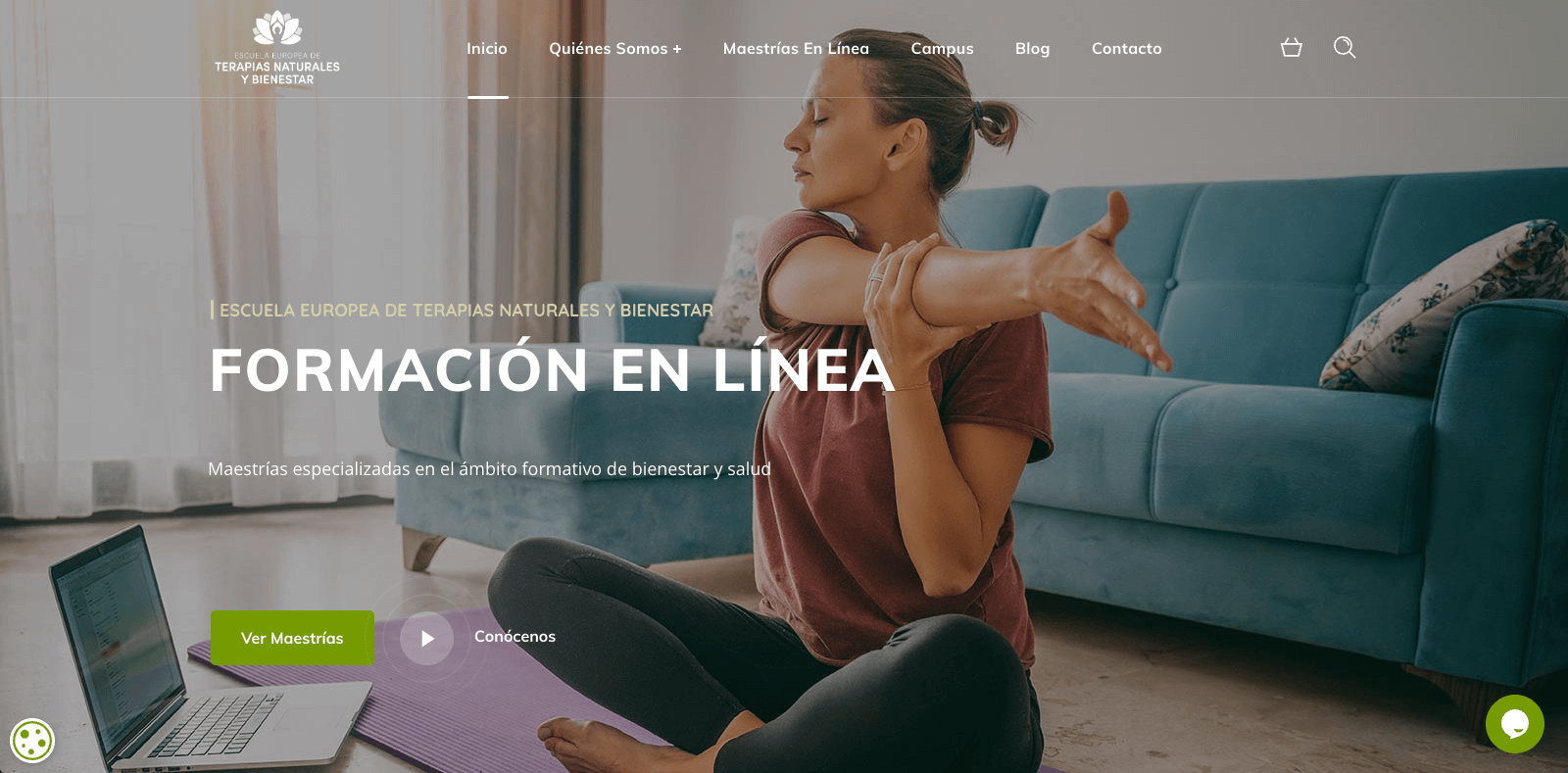 Pendiente de mostrar la Web Auditada