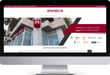 Pendiente de mostrar la Web Auditada