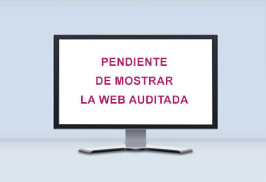 Pendiente de mostrar la Web Auditada