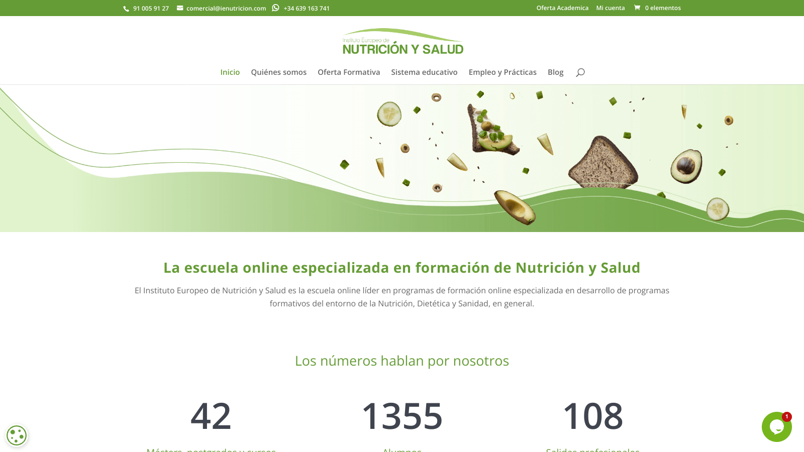 Pendiente de mostrar la Web Auditada