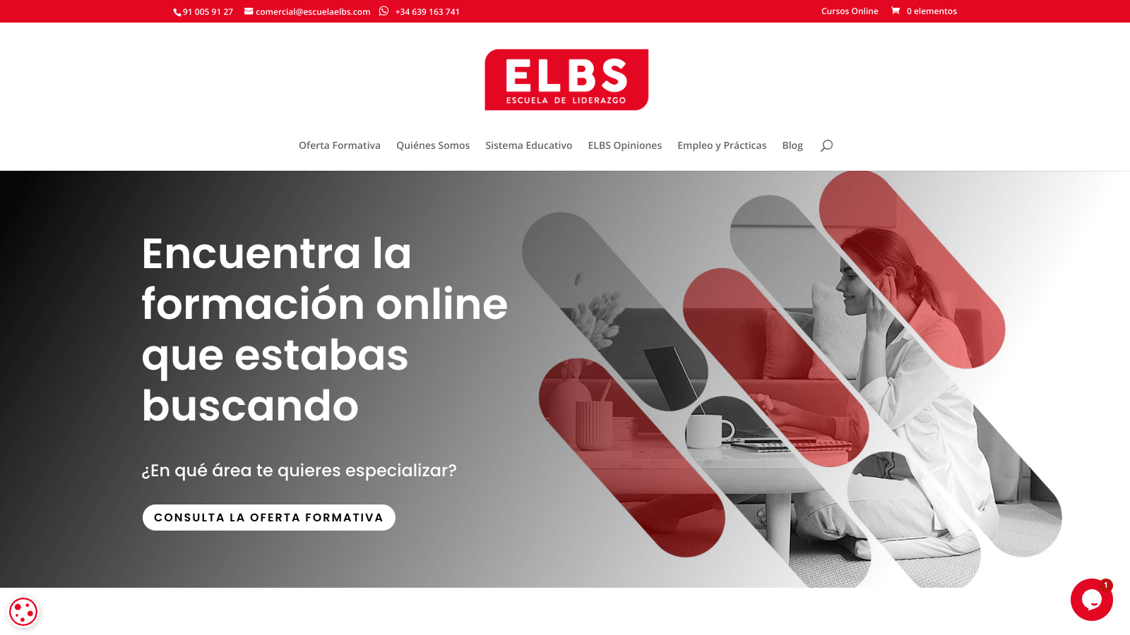 Pendiente de mostrar la Web Auditada