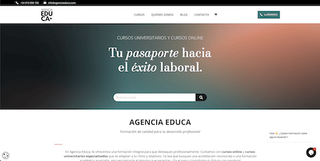 Pendiente de mostrar la Web Auditada