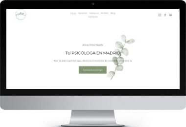 Pendiente de mostrar la Web Auditada