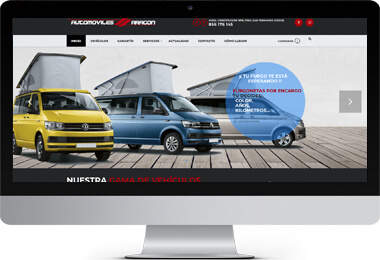 Pendiente de mostrar la Web Auditada
