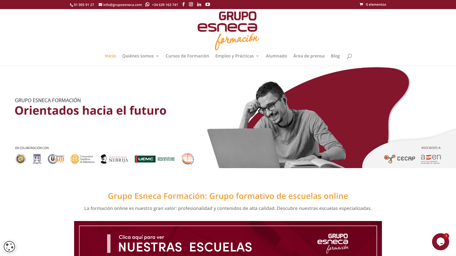 Pendiente de mostrar la Web Auditada