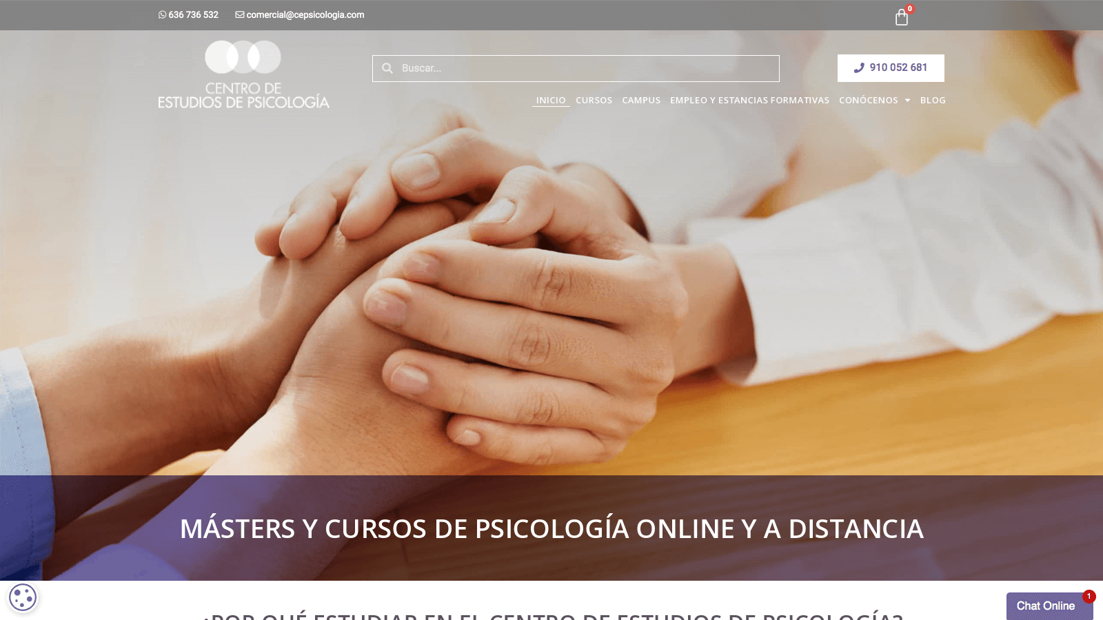 Pendiente de mostrar la Web Auditada