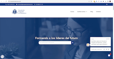 Pendiente de mostrar la Web Auditada