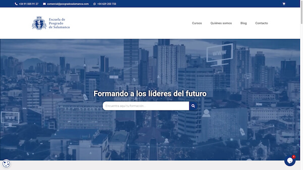 Pendiente de mostrar la Web Auditada