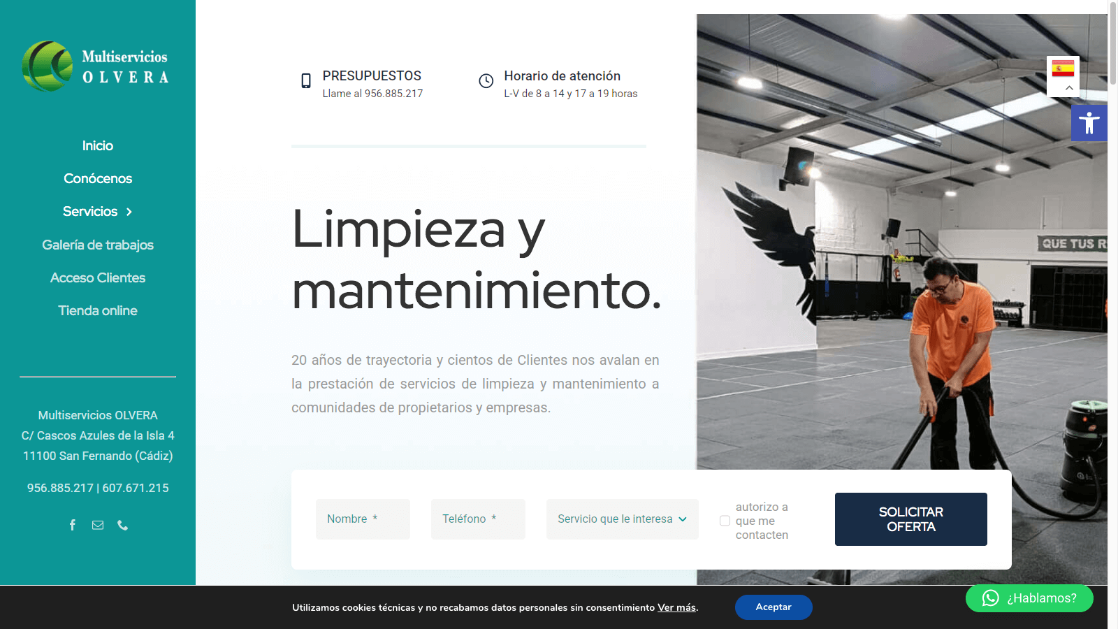 Pendiente de mostrar la Web Auditada