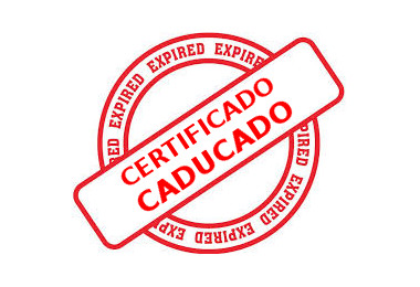 Pendiente de mostrar la Web Auditada