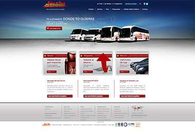 Pendiente de mostrar la Web Auditada