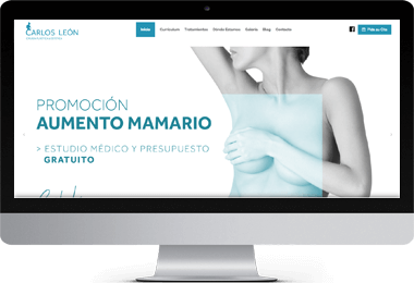 Pendiente de mostrar la Web Auditada